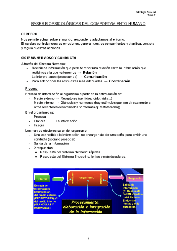 Miniatura del documento TEMA-2 Psicología general.pdf