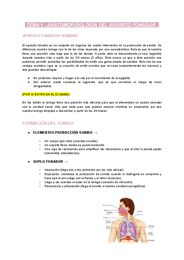 Miniatura del documento APUNTES-AUDICION-UNIDAD-1.pdf