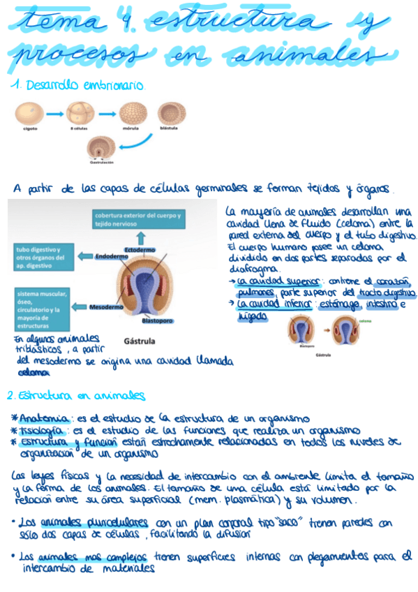 Miniatura del documento Tema-4.pdf