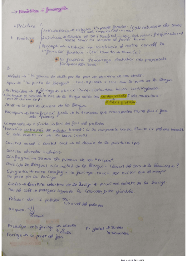 Miniatura del documento Fonetica-apunts-escrits.pdf