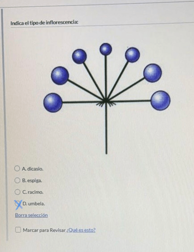 Miniatura del documento Primer-parcial.pdf