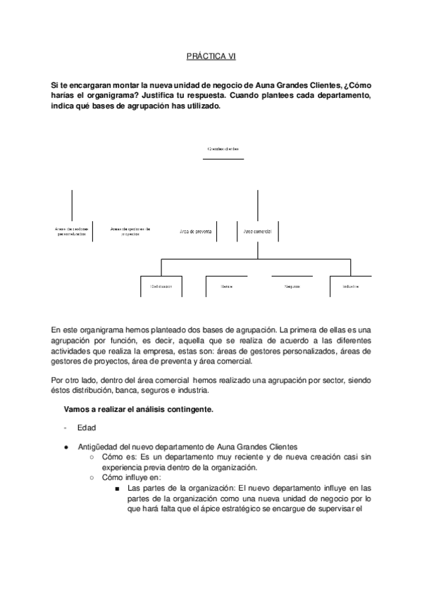 Miniatura del documento PRACTICA-VI-DISENO-ORGANIZATIVO.pdf
