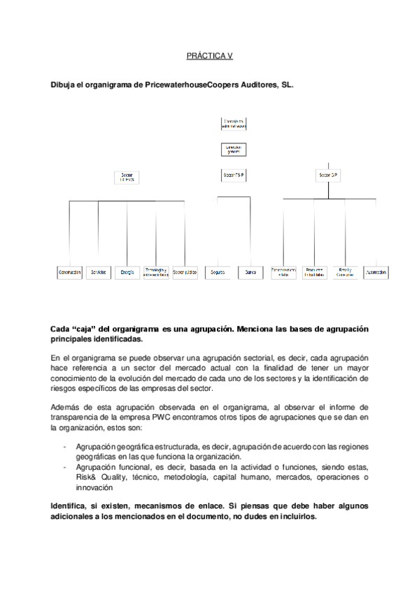 Miniatura del documento PRACTICA-V-DISENO-ORGANIZATIVO.pdf