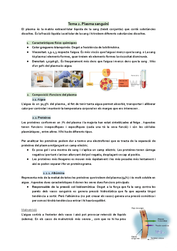 Miniatura del documento Tema-2-Plasma-sanguini.pdf