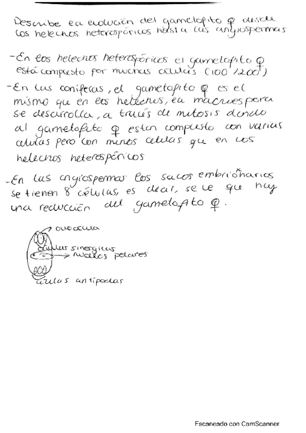 Miniatura del documento Pregunta-tipica-examen.pdf