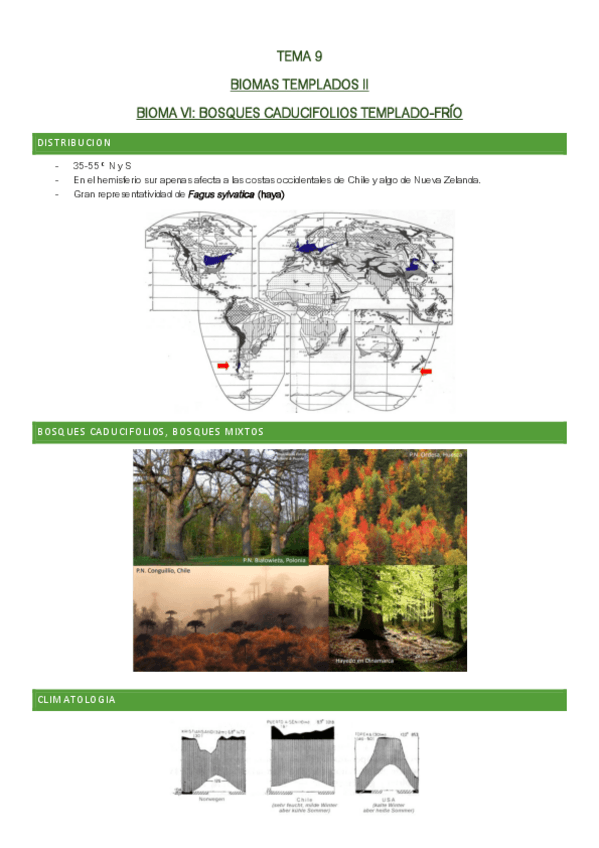 Miniatura del documento Tema-9.pdf