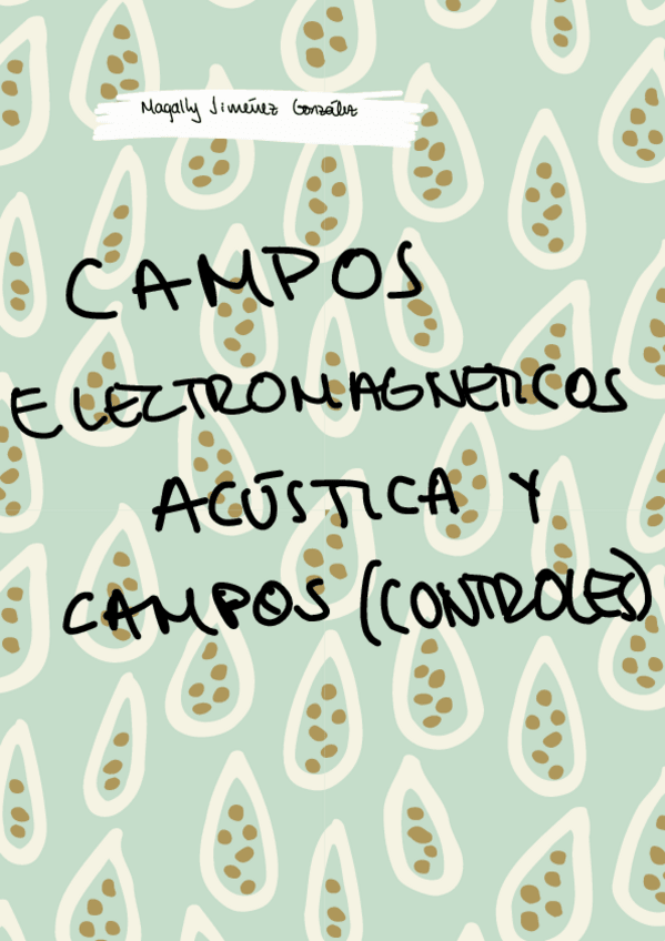 Miniatura del documento ControlesCampos.pdf