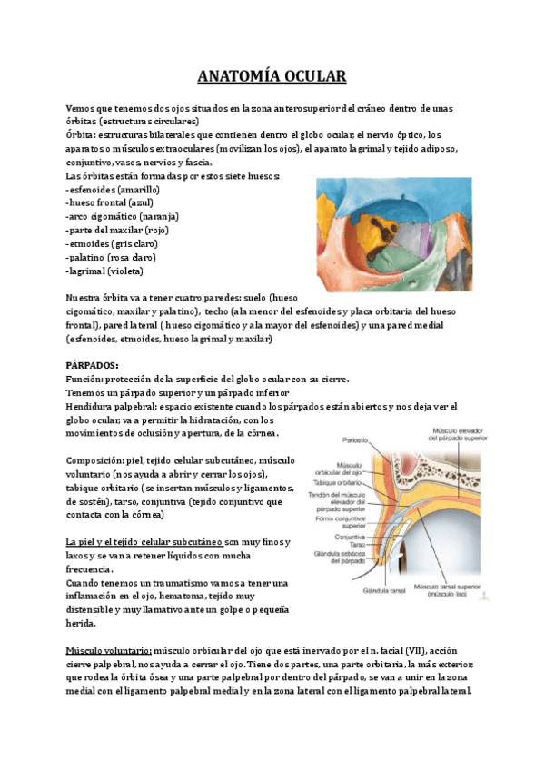 Miniatura del documento Copia-de-9.pdf