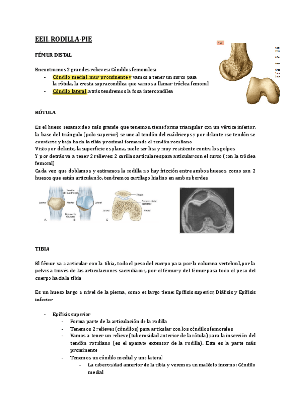 Miniatura del documento Copia-de-4.pdf