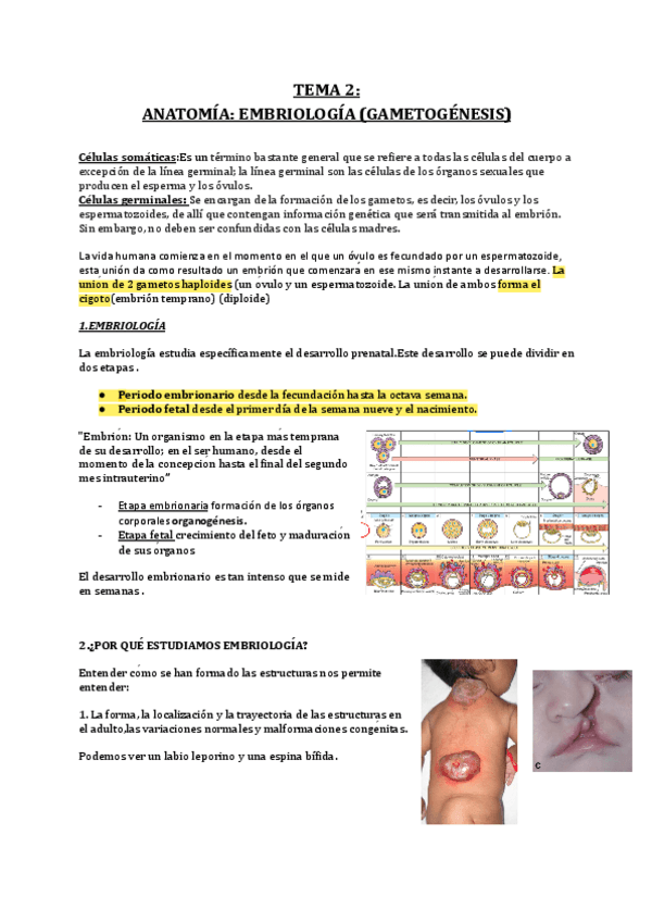 Miniatura del documento 1.pdf