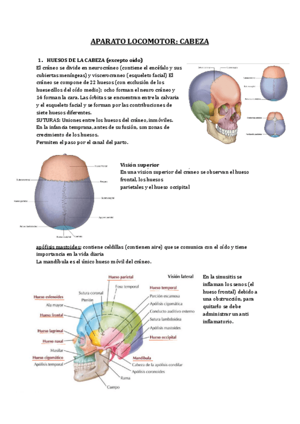 Miniatura del documento Copia-de-6.pdf