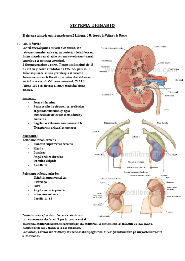 Miniatura del documento Copia-de-17.pdf
