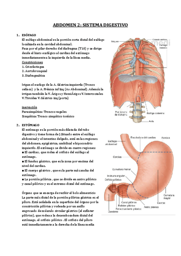 Miniatura del documento Copia-de-14.pdf