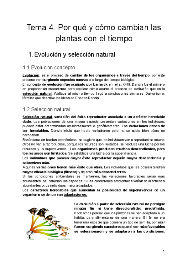 Miniatura del documento Tema-4.pdf