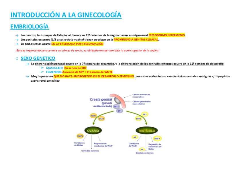 Miniatura del documento CM1.pdf