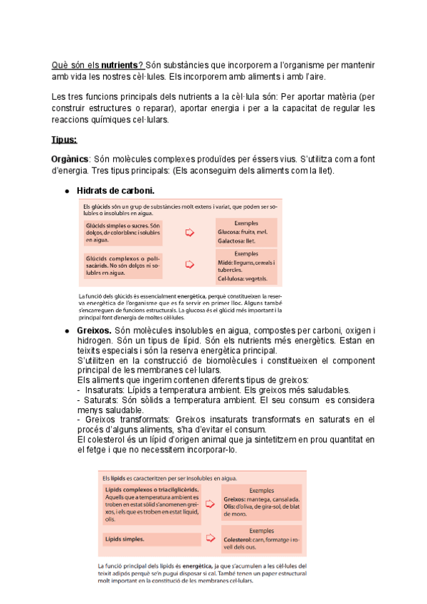 Miniatura del documento Sistema-digestiu.pdf