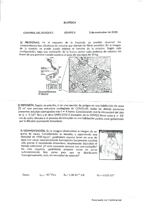 Miniatura del documento Parcial-bloque-1-biosifica-2020.pdf