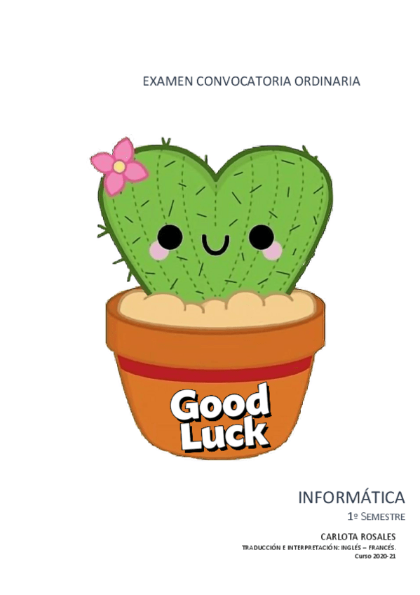 Miniatura del documento Apuntes-Informatica.pdf