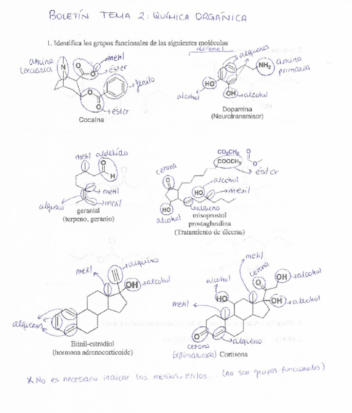 Miniatura del documento Boletin-Tema-2-Quimica-organica.pdf