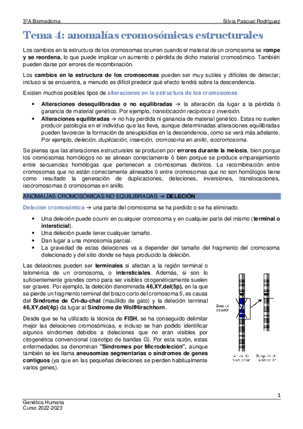 Miniatura del documento Tema-4-Genetica-humana.pdf
