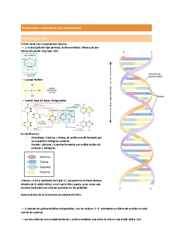 Miniatura del documento DOGMA-CENTRAL-y-mas-cosas-que-no-sirven-ahora.pdf