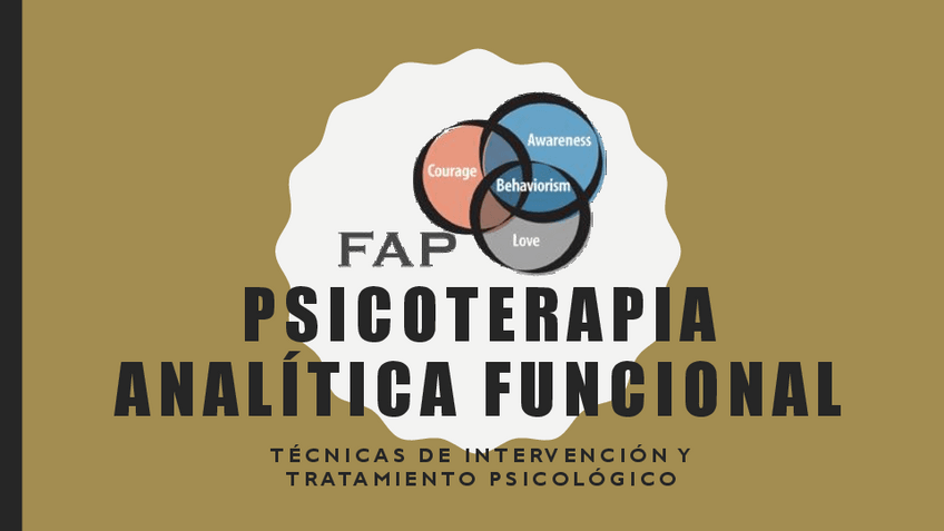 Miniatura del documento PWPsicoterapiaAnaliticaFuncionalW.pdf