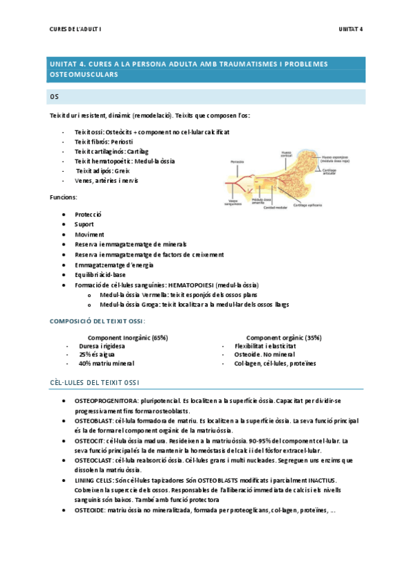 Miniatura del documento Unitat-4.pdf