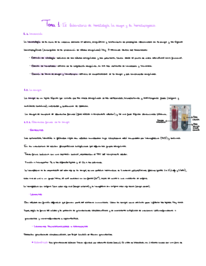 Miniatura del documento Tema-1-El-Laboratorio-De-Hematologia.pdf