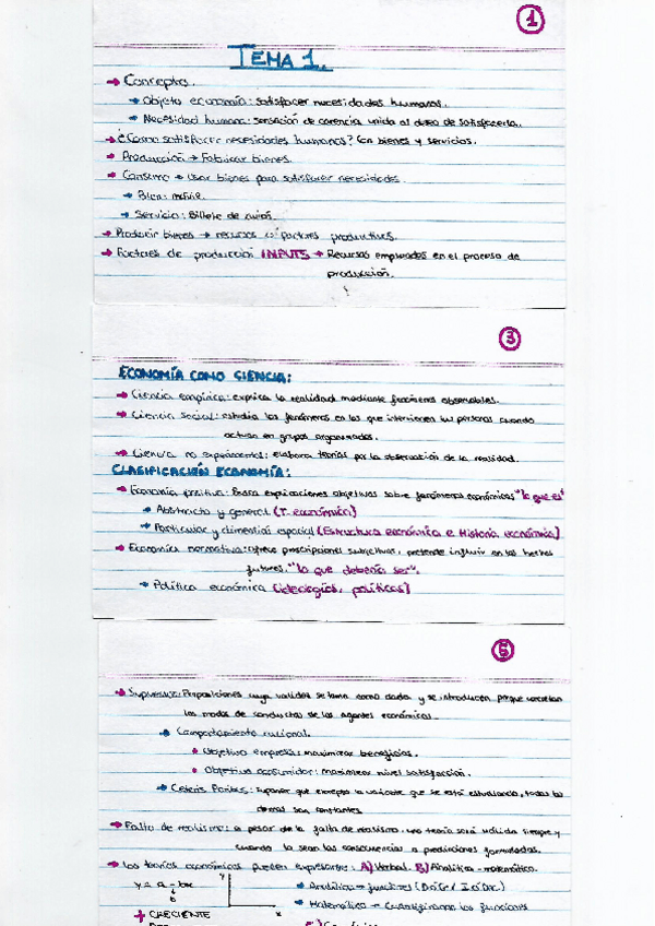 Miniatura del documento Tarjetas tema 1 numeradas arriba.pdf