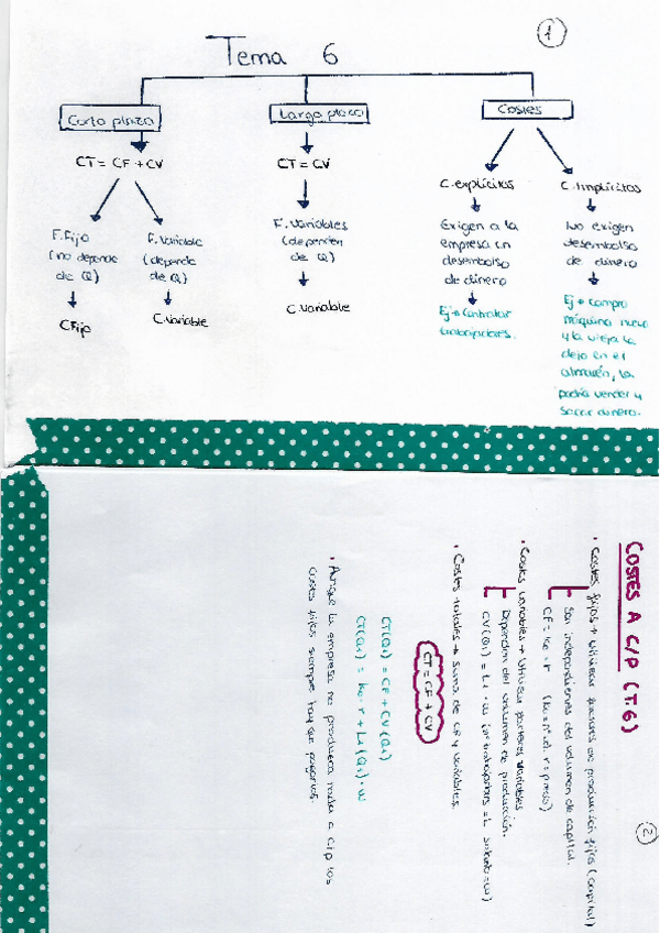 Miniatura del documento Tema 6 micro.pdf