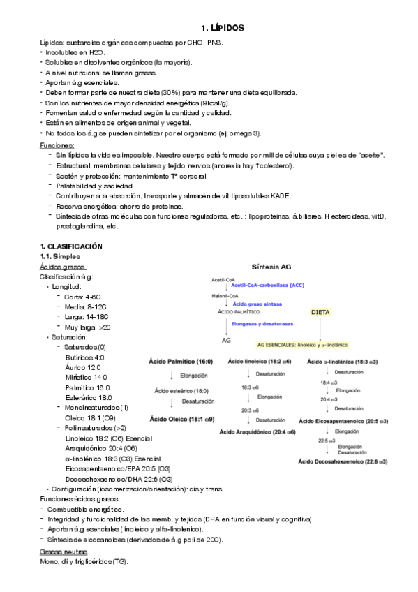 Miniatura del documento 2.pdf