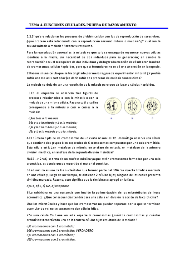 Miniatura del documento test1.pdf