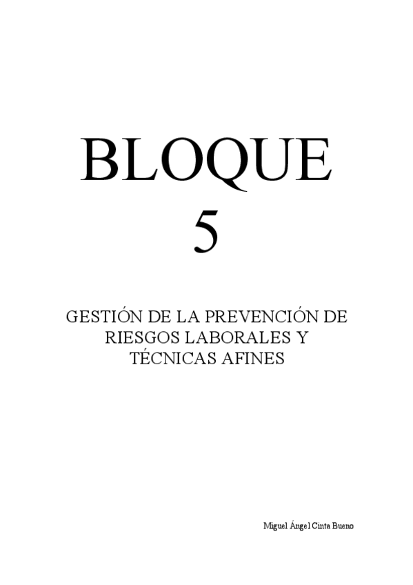 Miniatura del documento CintaBuenoMiguelAngelBloque5.pdf