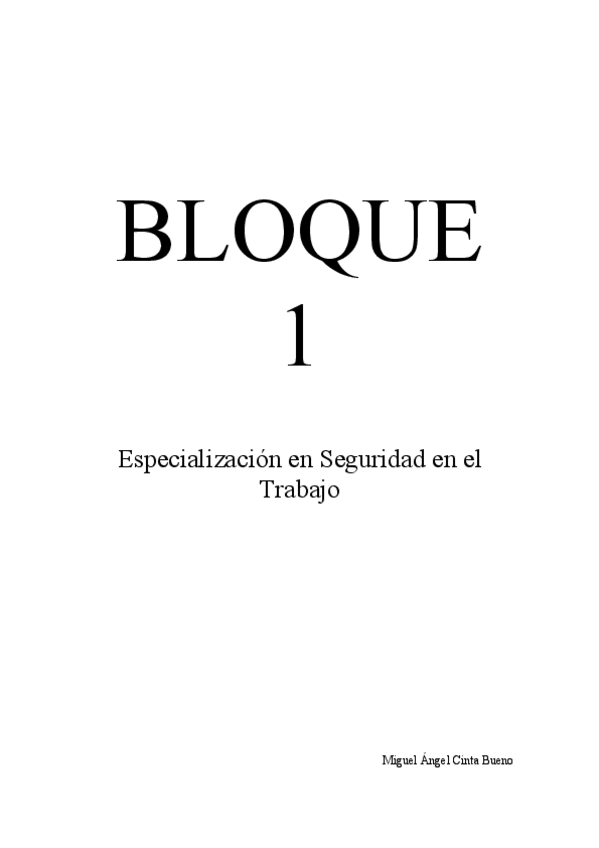Miniatura del documento CintaBuenoMiguelAngelBloque1.pdf
