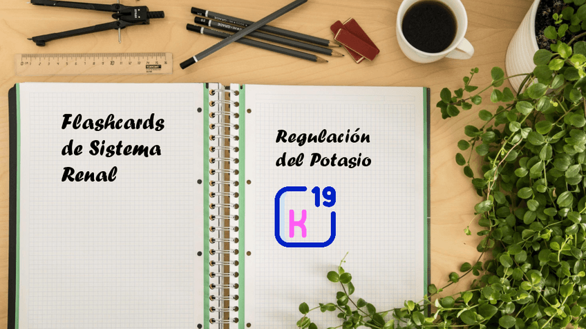 Miniatura del documento Flashcards-regulacion-de-potasio-pptx.pdf