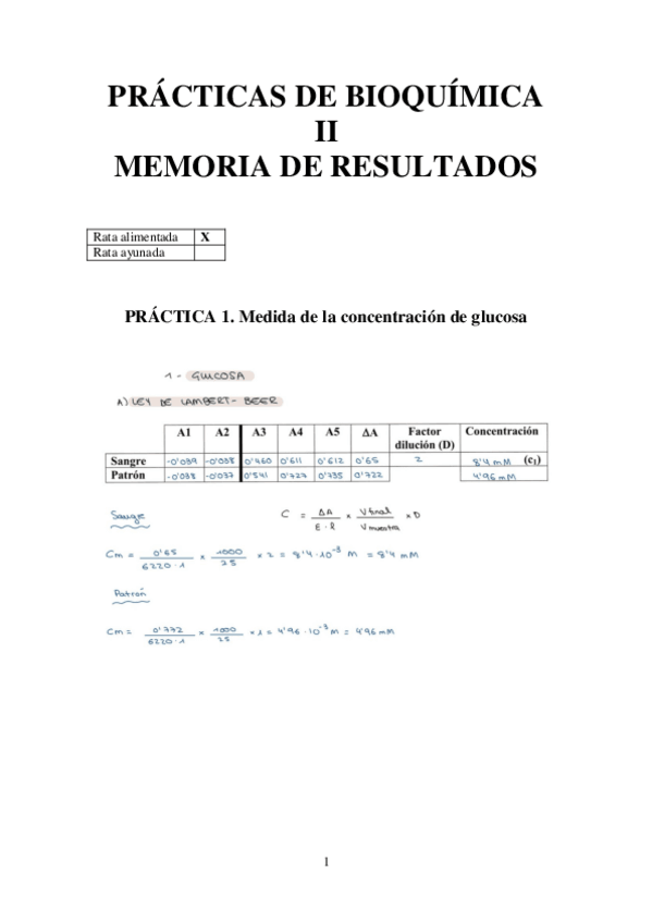 Miniatura del documento Memoria-practicas.pdf