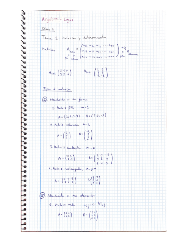 Miniatura del documento Apuntes-Tema-1-Algebra.pdf