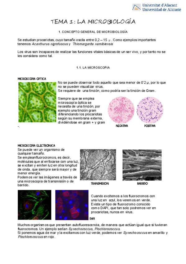 Miniatura del documento T1La-Microbiologia.pdf