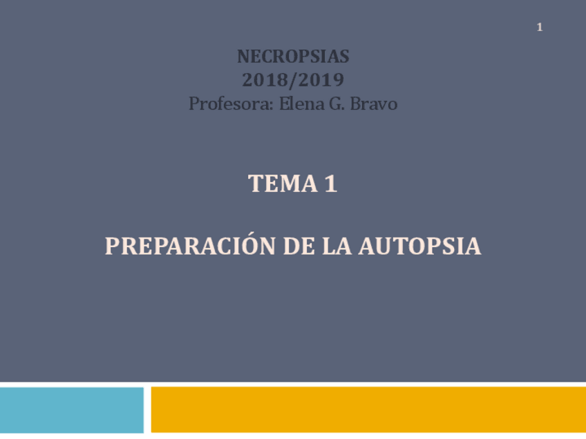 Miniatura del documento NECROTEMA1-1.pdf