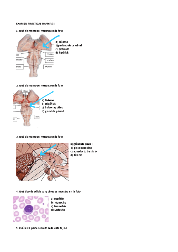Miniatura del documento EXAMEN-PRACTICAS-BANYFIS-II.pdf