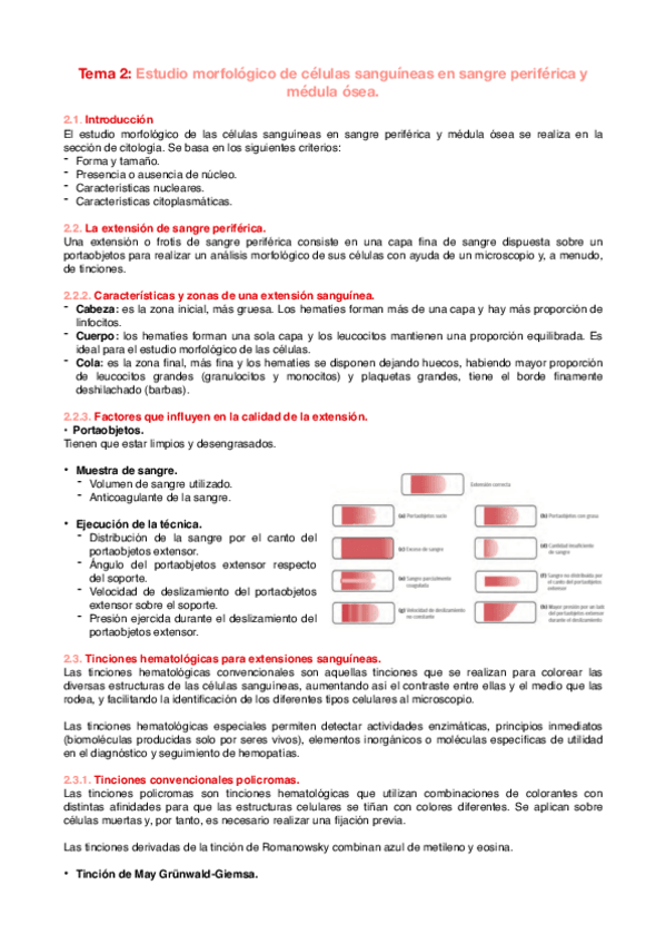 Miniatura del documento Tema-2-Estudio-morfologico-de-celulas-sanguineas-en-sangre-periferica-y-medula-osea.pdf