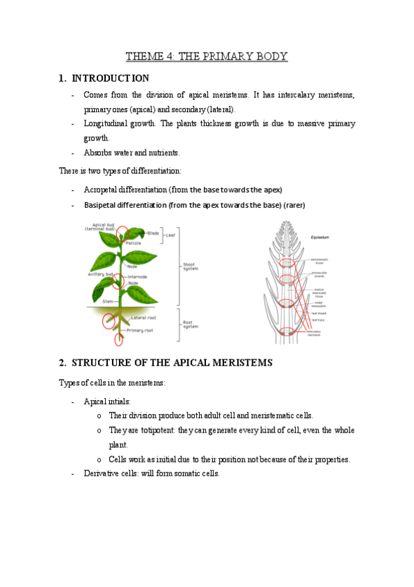 Miniatura del documento THEME-4-the-primary-body.pdf