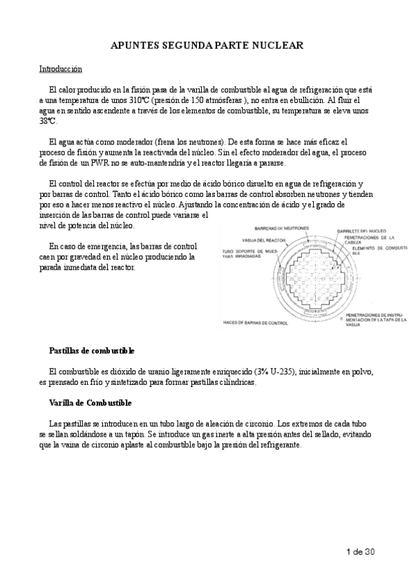 Miniatura del documento NuclearDefinitvo.pdf