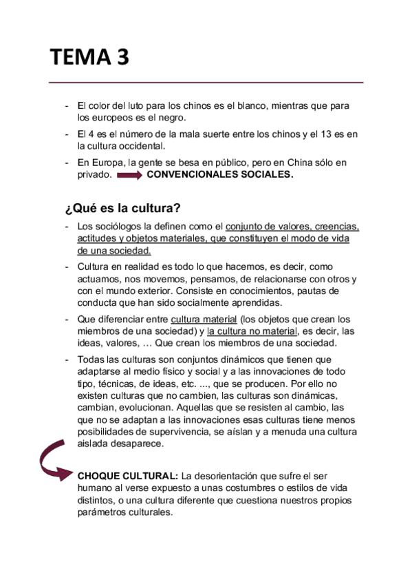 Miniatura del documento Apuntes-TEMA-3-SOCIOLOGIA-.pdf