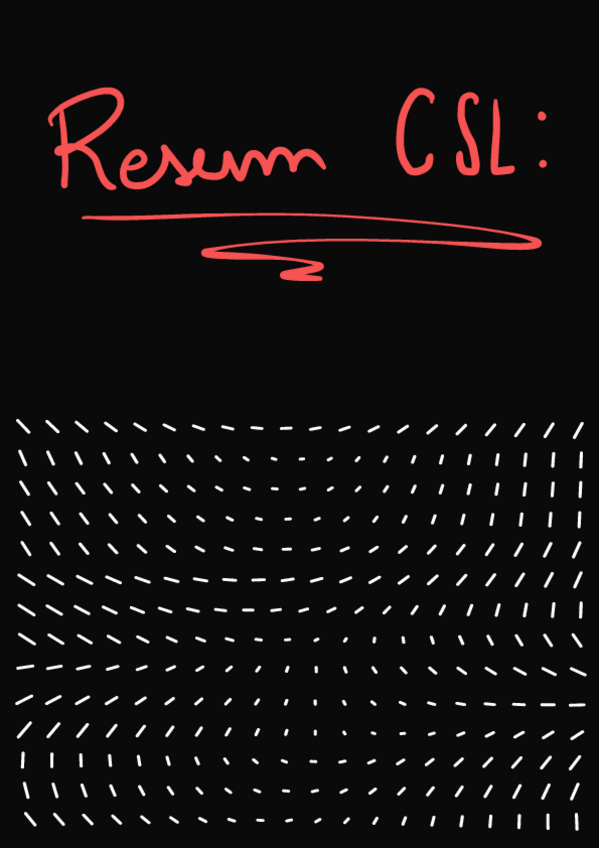 Miniatura del documento csl-apunts-imprimir.pdf