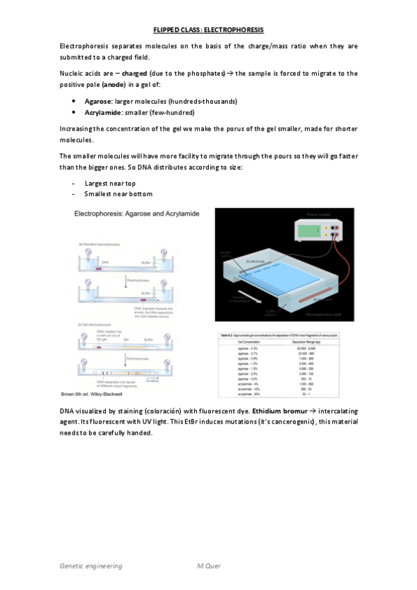 Miniatura del documento FLIPPED-CLASS-ELECTROPHORESIS.pdf