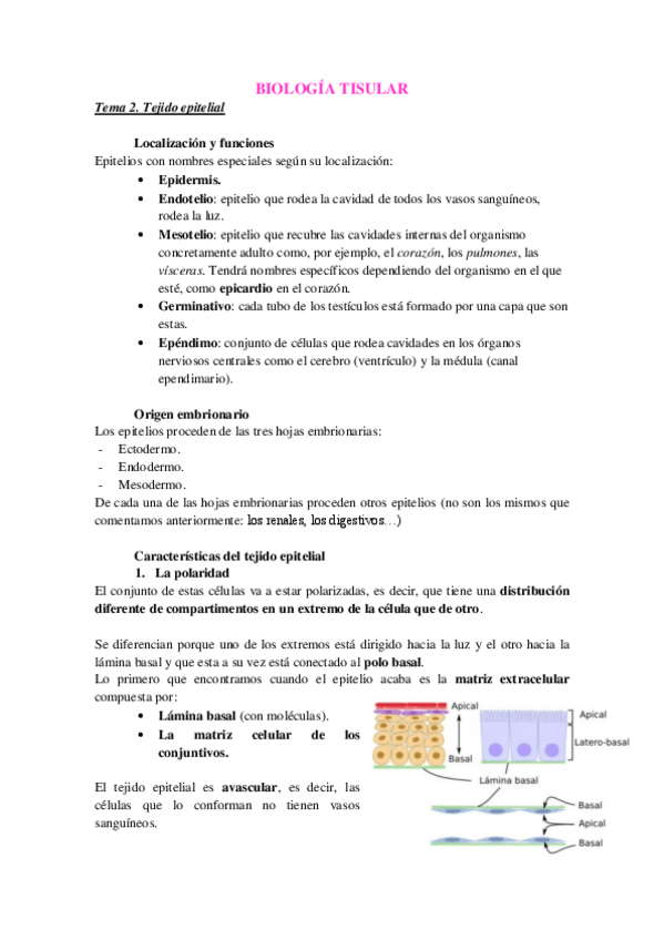 Miniatura del documento Tema-2-2.pdf