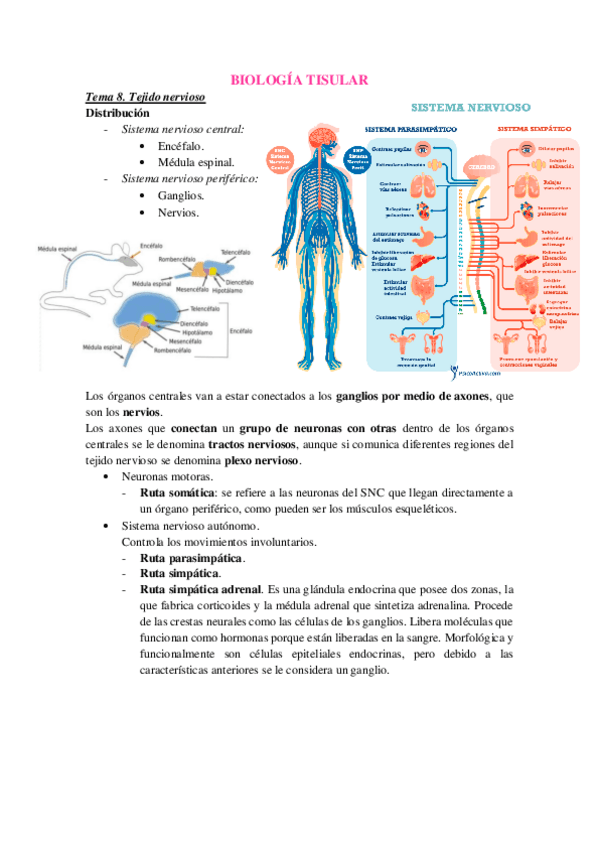 Miniatura del documento Tema-8.pdf