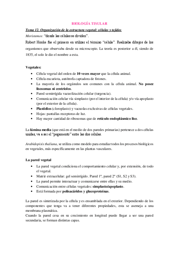 Miniatura del documento Tema-9.pdf