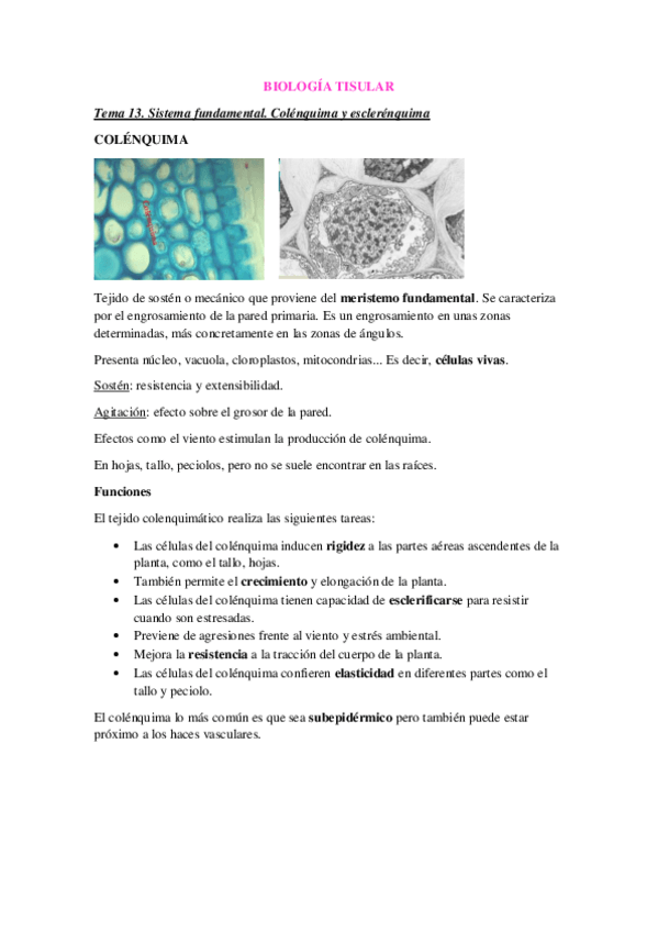 Miniatura del documento Tema-13.pdf